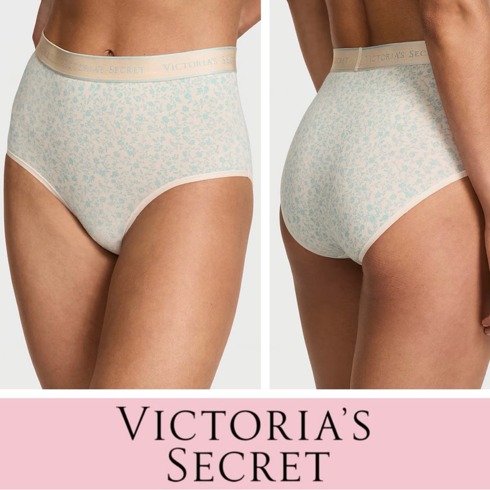 NWT Modern Brief Panty with Logo Waistband